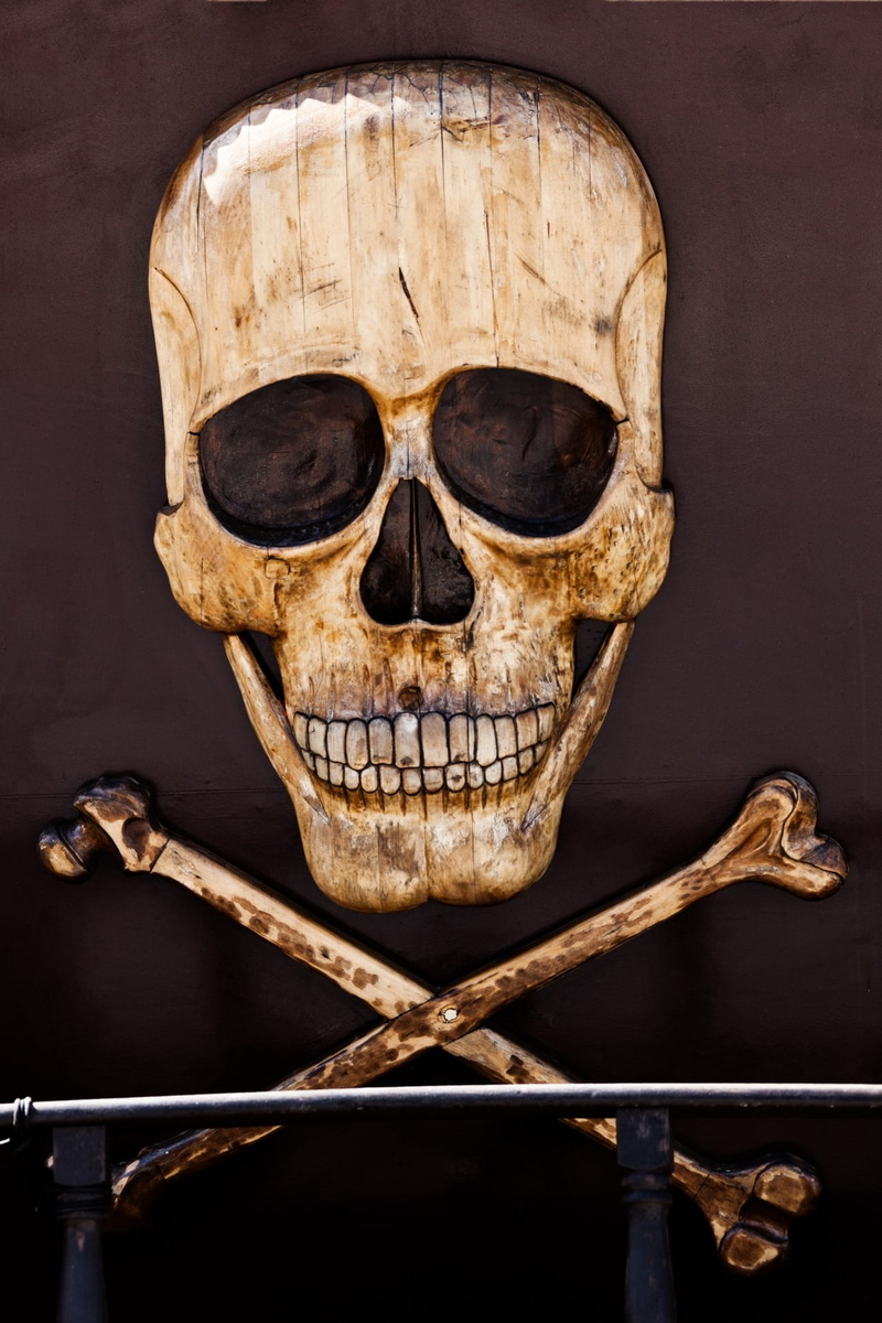 1080P, warning, indoors, old-fashioned, Bone, still life, fear, halloween, spooky, scary, Dead, human body part, human skeleton, studio shot, antique