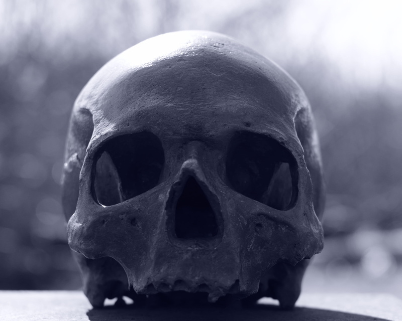 fear, single object, human body part, die, 2K, human, horror, indoors, mystical, bones, body part, skull and crossbones, head, old, human skeleton, human face