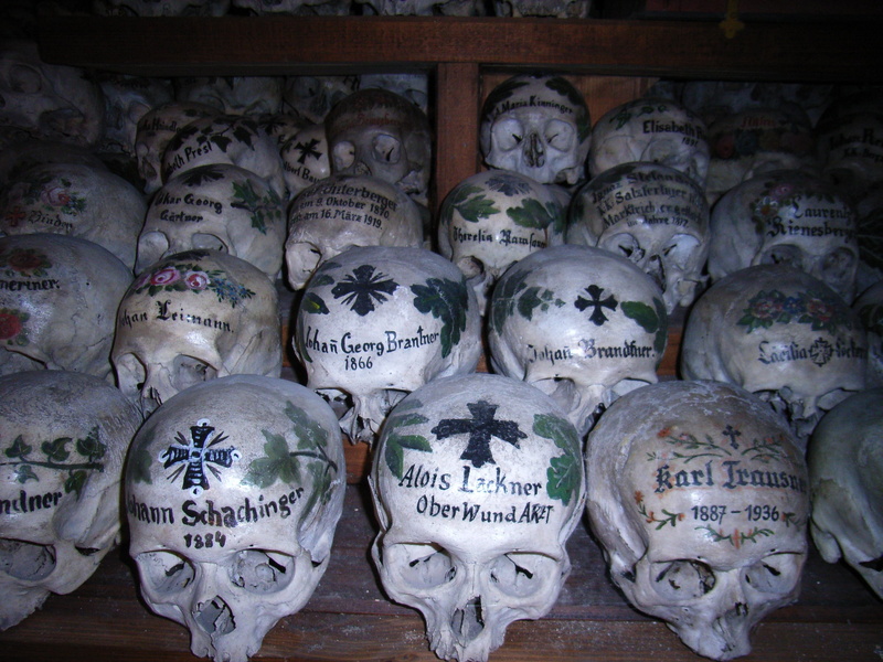 skeleton, human anatomy, creativity, no people, text, bone, abundance, scary, choice, crypt, group of objects, in a row, weird, 2K, representation, arrangement