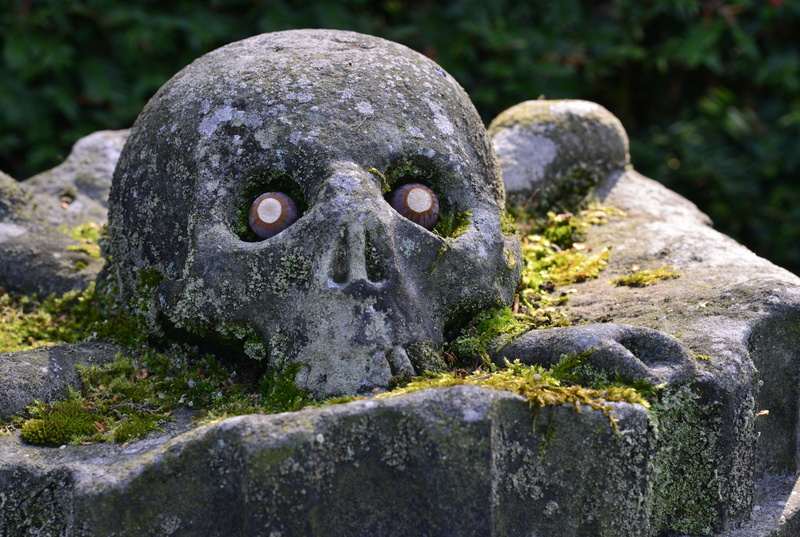 statue, solid, animal, 5K, rock, animal wildlife, skull and crossbones, representation, skull, focus on foreground, no people, animals in the wild, stone sculpture
