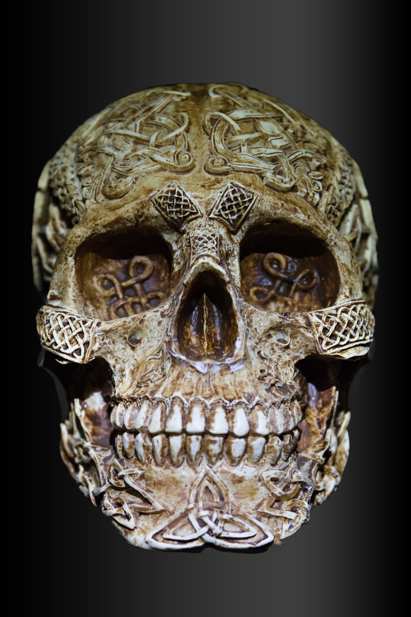 art and craft, gold colored, celtic skull, close-up, luxury, black background, animal themes, pattern, decor, celts, mask, antique, studio shot, single object