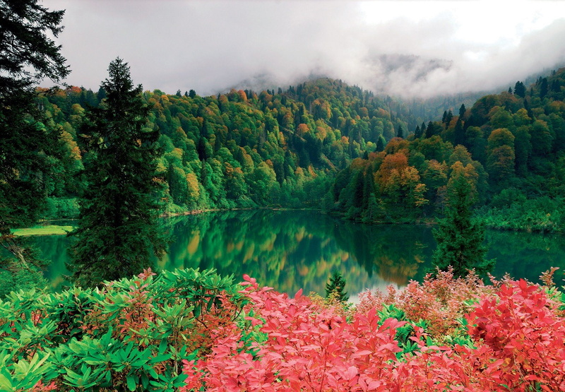 turkey, 720P, Artvin