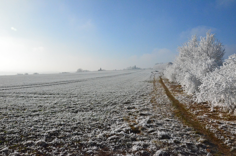 Winter, hiking, winter mood, no People, cold - Temperature, scenics - nature, white, season, Nature, rest, arable, snowfield, Mountains, idyll, germany