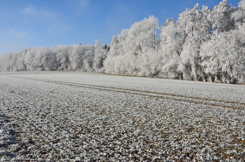 trace, beauty in nature, season, ulm, Nature, tranquil scene, 4K, road, Mountains, wonderful, non-Urban Scene, arable, environment, wonderland, hoarfrost