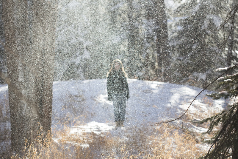 no people, cold temperature, snow, united states, dream, mammal, 5K, colorado, animals in the wild, one animal, vertebrate, out of focus, winter, animal wildlife