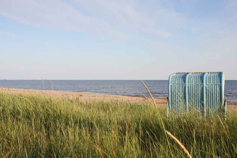plant, chill out, scenics - nature, tranquility, distant, marram grass, outdoors, water, dreams, recover, growth, break, harmony, 4K, beach chair, green color