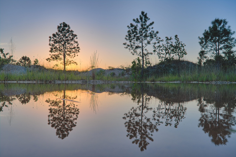 reflection lake, perfect, sky, summer, sun, landscape, outdoor, waterfront, belize, idyllic, plant, symmetry, reflection, tree, tranquility, beauty in nature
