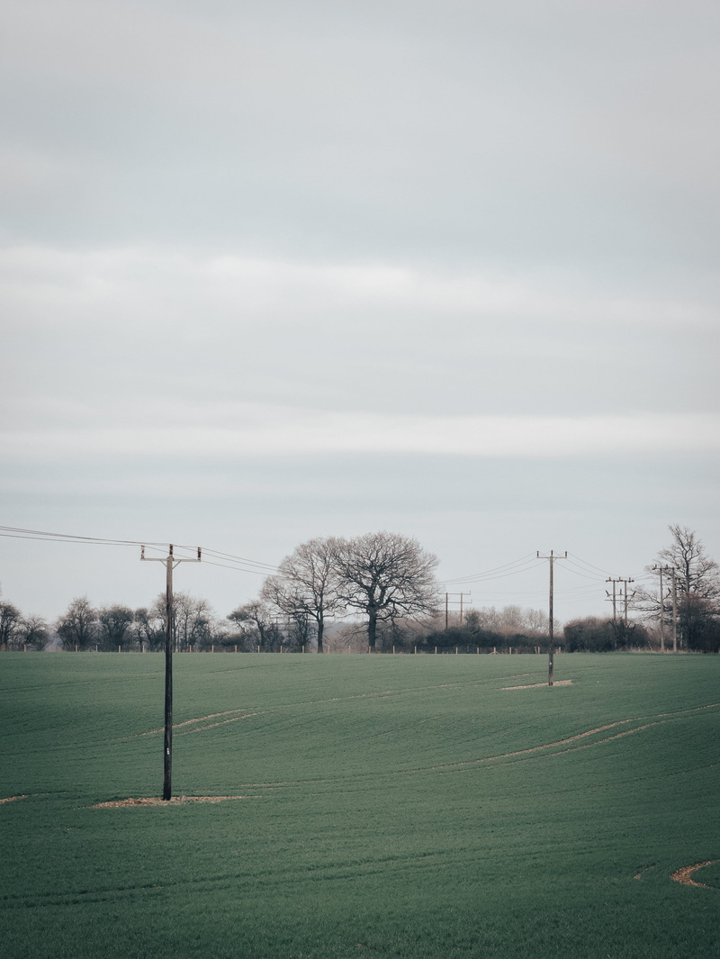wire, telephoneposts, country, green, grass, tranquility, land, 2K, telephone, environment, sky, green color, countryside, distance, sport, tree, field