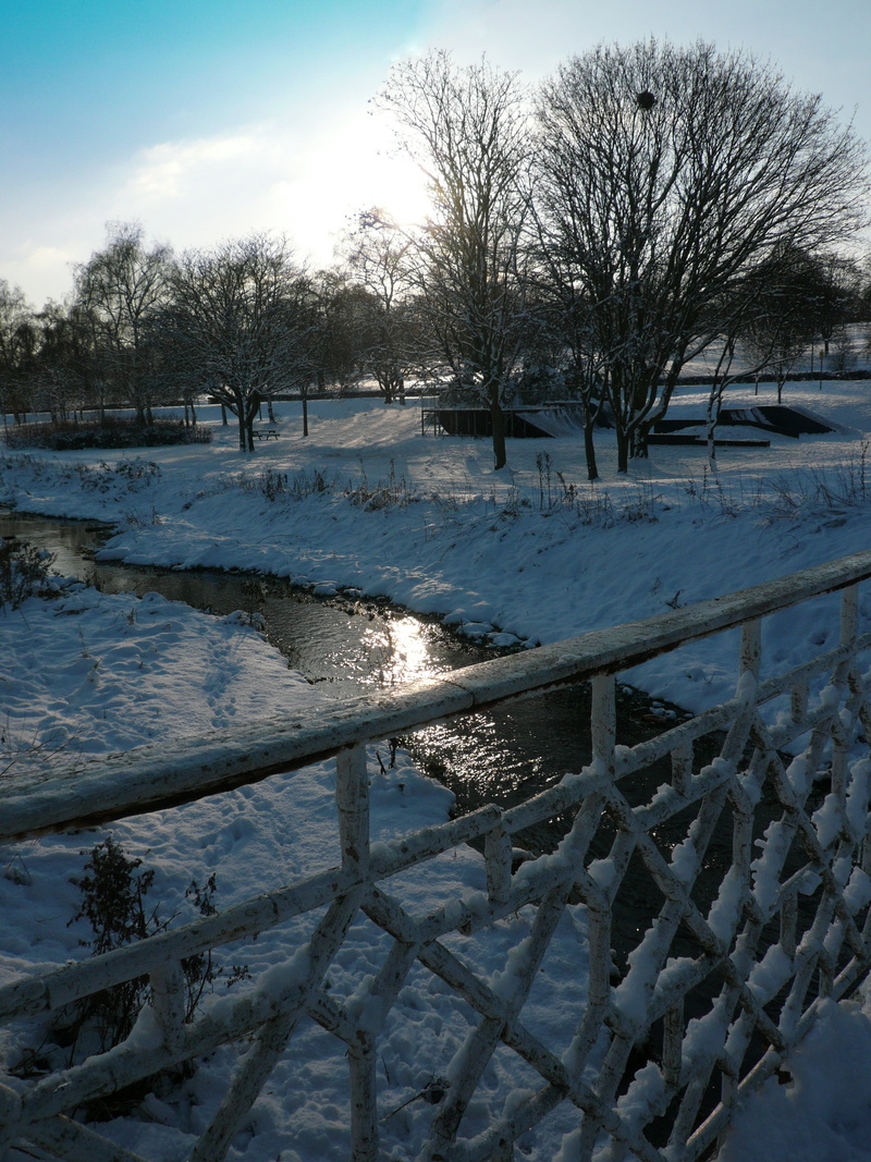 tree, white color, sky, cold, hemel hempstead, frozen, bare tree, plant, snow, covering, tranquility, scenics - nature, winter, nature, landscape, sunset
