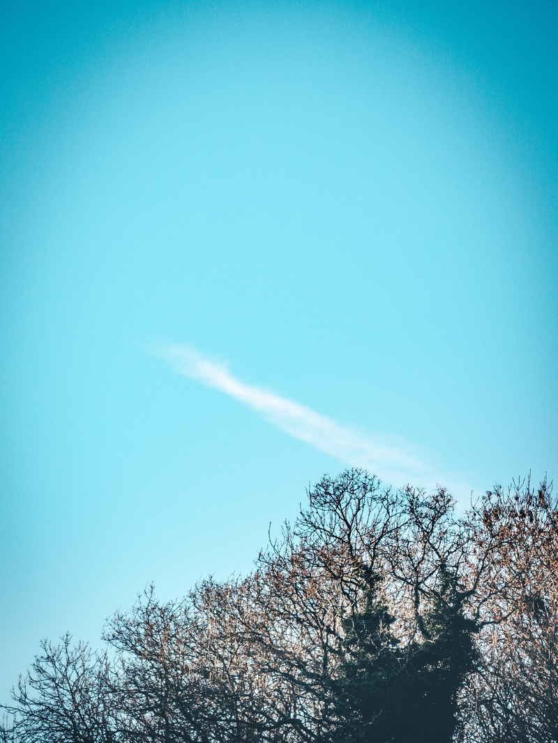 smoke, symbol, lemon, blue, tree, adventure, concept, colorful, branch, nature, growth, typography, treetop, scenics - nature, font, background, vapor trail