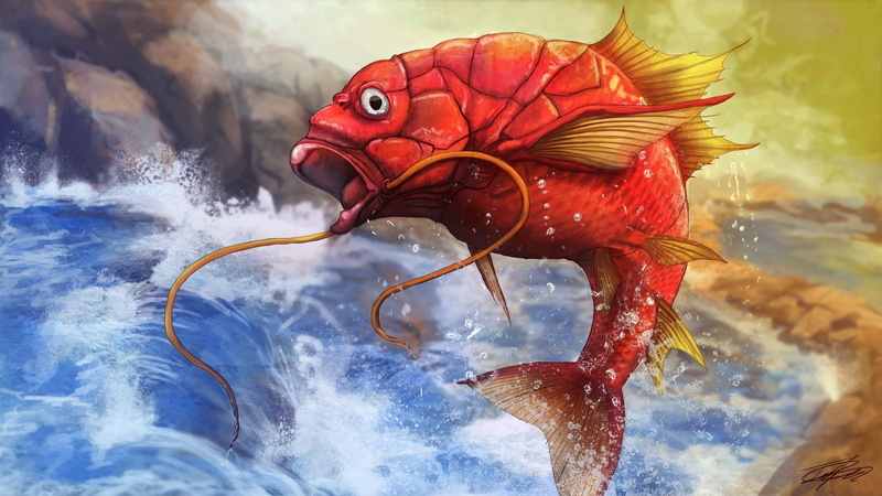 1080P, Magikarp (Pokémon), Pokémon
