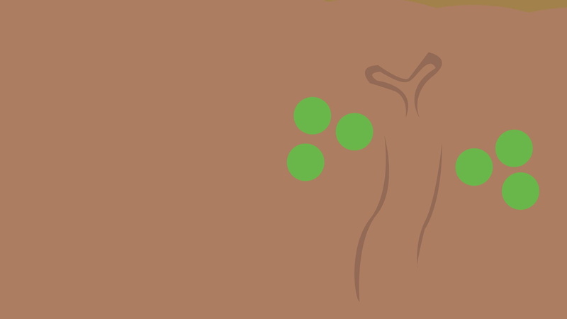 1080P, Pokémon, Sudowoodo (Pokémon), Rock Pokémon