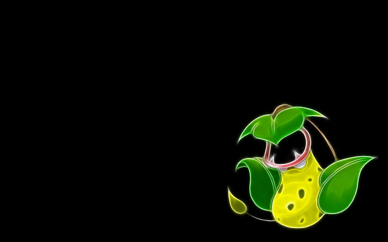 Victreebel (Pokémon), Pokémon, 1080P