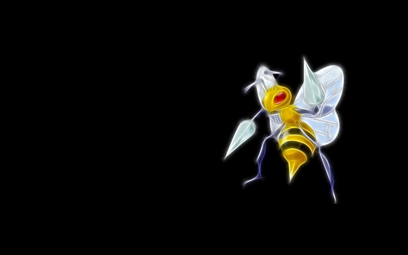 Bug Pokemon, 1080P, Beedrill (Pokémon), Pokémon
