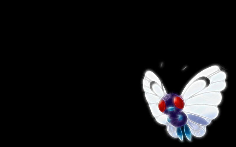 Butterfree (Pokémon), Bug Pokemon, Pokémon, 1080P