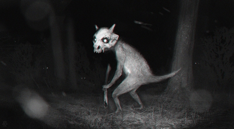 720P, domestic, animals in the wild, animal wildlife, portrait, creature, mammal, cat, pets, horror, one animal, looking, no people, cubone, domestic animals