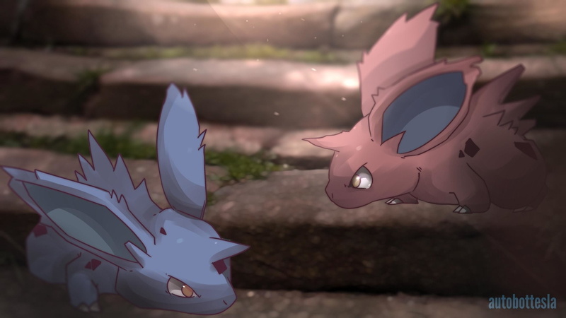 1080P, Nidoran (Pokémon), Shiny Pokémon, Pokémon