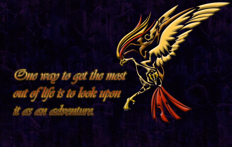 Flying Pokémon, western script, string, black background, text, Pidgeot (Pokémon), nature, studio shot, close-up, no people, creativity, textile, Pokémon