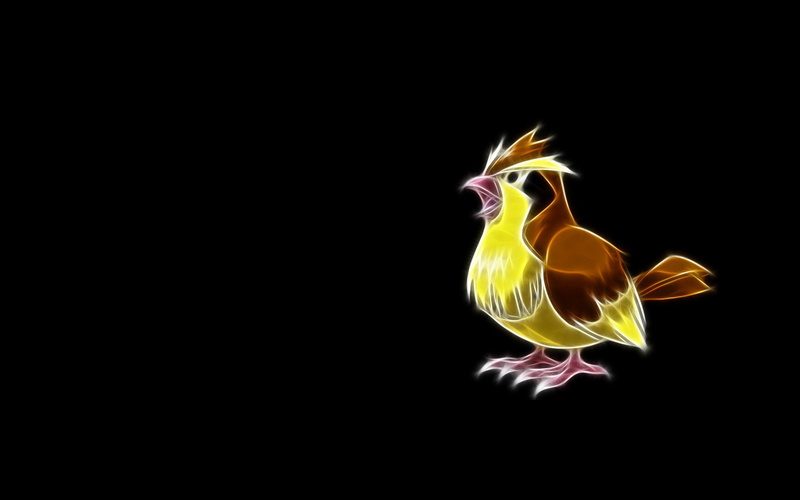 Flying Pokémon, Pidgey (Pokémon), 1080P, Pokémon