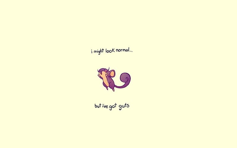 formula, communication, number, white color, paper, mathematics, education, handwriting, Pokémon, close-up, still life, Rattata (Pokémon), creativity, writing