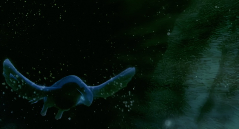 outdoors, sea, glass - material, marine, Lugia (Pokémon), animal wildlife, vertebrate, animal themes, sea life, Movie, animals in captivity, Pokémon: The Movie 2000