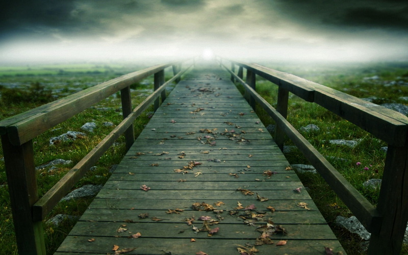 land, tranquility, leaves, path, board, rain, tranquil scene, river, fog, wood - Material, wood, railing, backgrounds, day, outdoors, green Color, sky