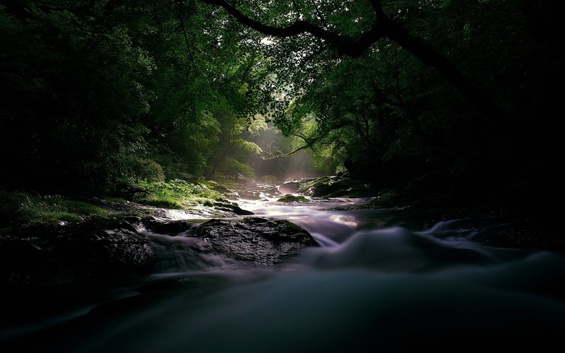 green Color, freshness, landscape, nature, wood, plant, tranquility, long Exposure, moss, flowing, stone - Object, woodland, scenics - nature, solid, tranquil Scene
