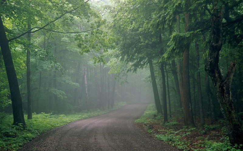 haze, 1080P, fog, uncertainty, road, wood