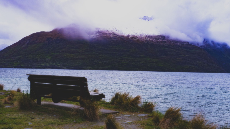 scenics - nature, no people, outdoors, tranquility, park, queenstown, bench, nature, plant, non-urban scene, day, seat, mountain, tranquil scene, 4K, newzealand
