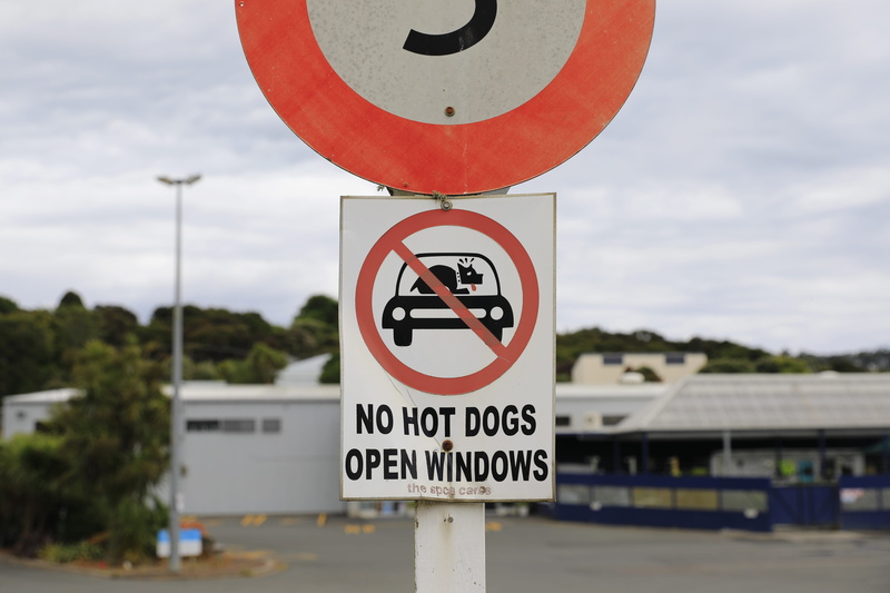 information sign, outdoors, information, cloud - sky, guidance, road sign, shape, warning sign, day, hotdog, focus on foreground, circle, newzealand, no people