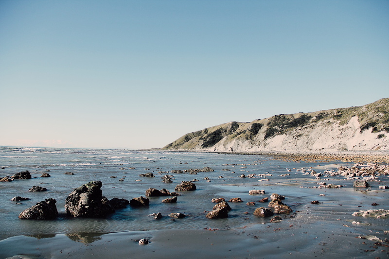 2K, beach, day, ocean, landscape, marlboroughsounds, sea, cliffs, sky, newzealand, land, nature, beauty in nature, copy space, animals in the wild, summer