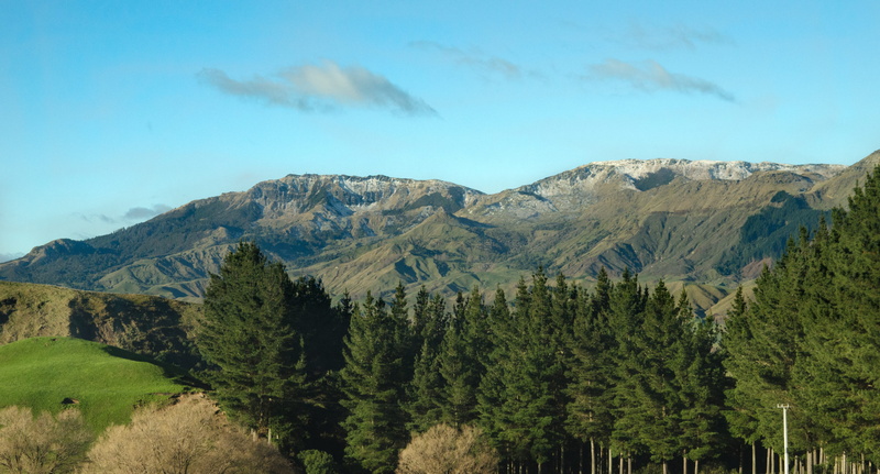 outdoors, newzealand, mountain range, plant, scenics - nature, beautiful, nature, tree, beauty in nature, sky, 4K, mountain peak, environment, cloud - sky