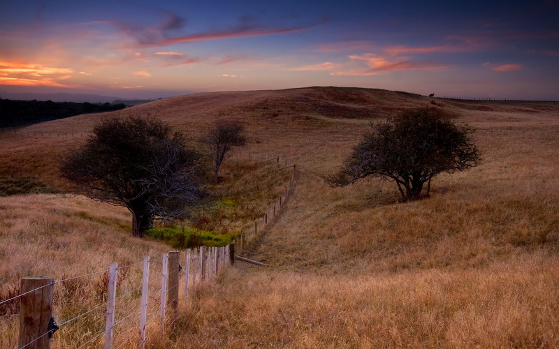 tranquility, tranquil scene, non-urban scene, idyllic, trees, aucklandnewzealand, grass, trail, plant, fence, 2K, boundary, fences, outdoors, sunset, environment