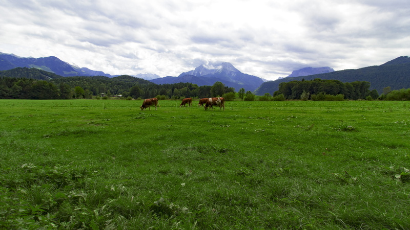 cloud - sky, no people, sky, mountains, summer, beauty in nature, domestic animals, agriculture, grass, mountain, bishop meadows, herbivorous, bavaria