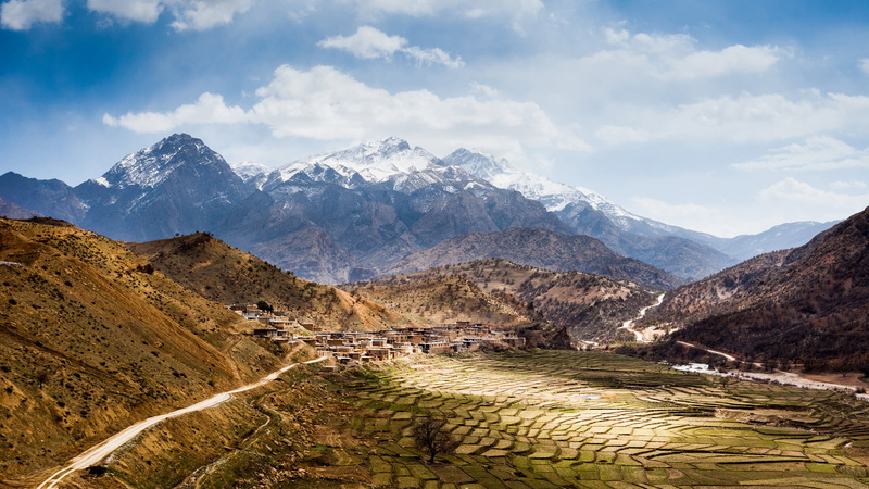 tree, slope, grass, geological formation, summer, highland, mountain peak, majestic, mountain range, hill, forest, wilderness, travel, spring, landscape