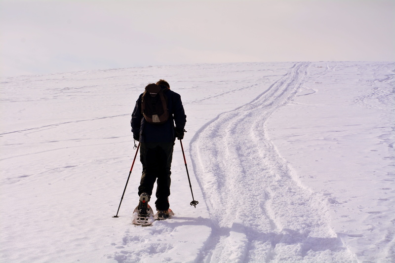 adventure, leisure activity, scenics - nature, snow, mountain, land, lifestyles, winter, sport, 5K, ski-wear, cold, winter sport, ice, rear view, full length