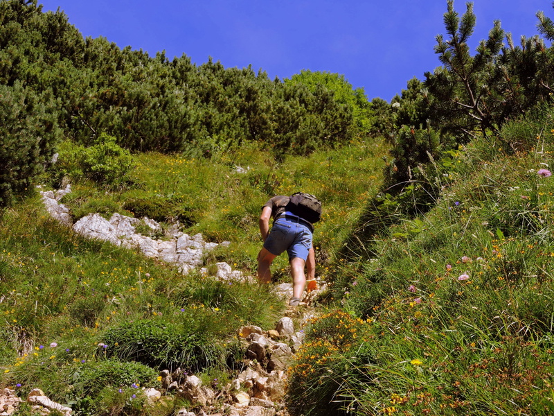 hiking, trail, walking, real people, beauty in nature, mountain, leisure activity, 4K, rear view, plant, land, fatigue, green color, activity, green, day