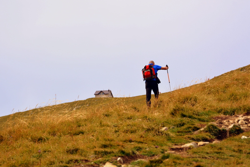 grass, mountain, walk, adult, lifestyles, nature, baldo, healthy lifestyle, sky, hiking, adventure, full length, 4K, one person, exploration, trekking