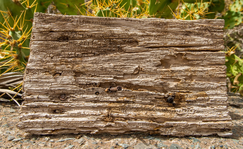 nature, structure, day, tree, board, no people, land, bulletin board, 4K, focus on foreground, wood - material, outdoors, grain, tree trunk, rough, textured
