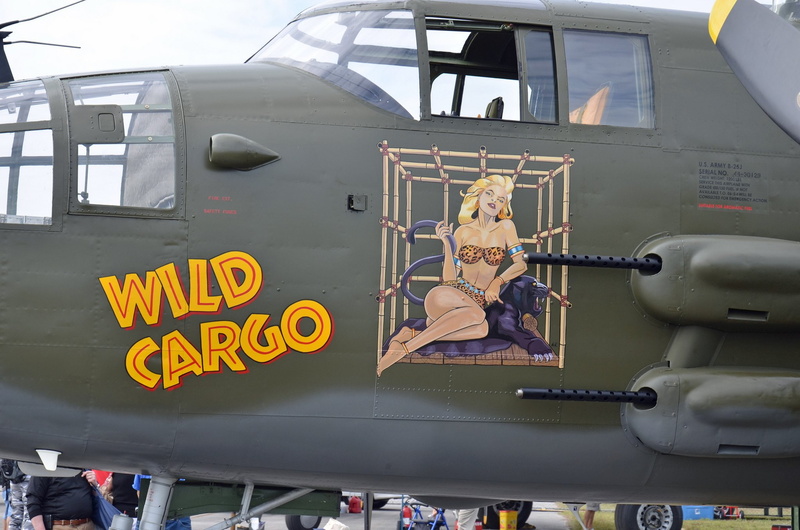 1080P, art, fighter, nose, pin up, plane, aircrafts
