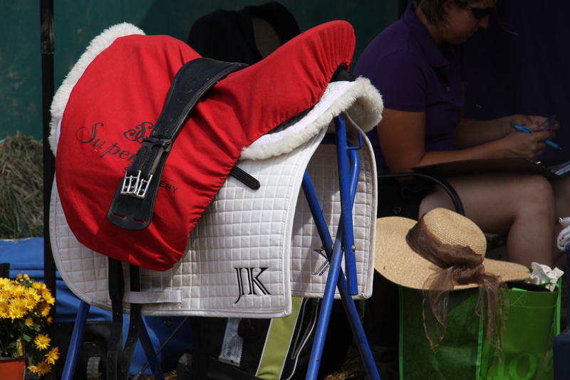 horse show, people, midsection, 2K, sitting, adult, arts culture and entertainment, seat, group of people, music, clothing, men, musical instrument, musician