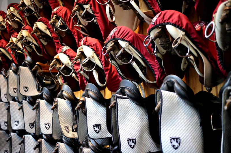 equestrian, government, no people, for sale, retail display, tack, saddle, high angle view, backgrounds, in a row, still life, spanish school, austria