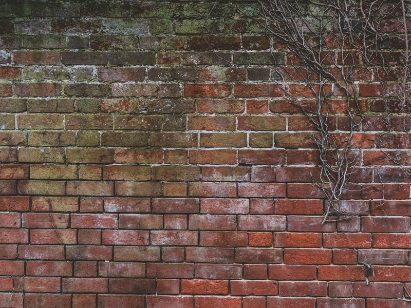 fruit, close-up, backgrounds, outdoors, black, vine, wall - building feature, brick wall, 8K, ruins, wooden, wine, barrel, day, dungeon, wall, apple, texture