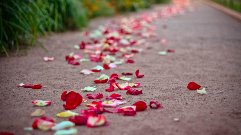 creation, outdoors, puzzle, freshness, romantic, business, selective focus, 3d, close-up, game, beauty in nature, thumbtack, colorful, surface level, symbol