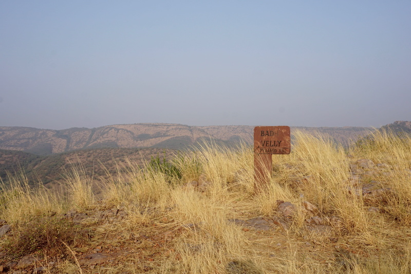 nature, tranquility, land, outdoors, information sign, 5K, no people, text, landscape, ranthambore, scenics - nature, new delhi, wilderness, sky, field