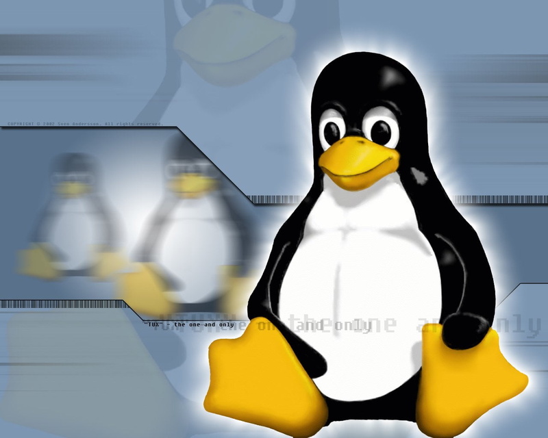 Linux, black color, business, western script, Technology, human representation, indoors, occupation, people, table, logo, close-up, linus, 720P, communication