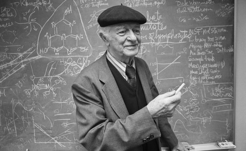 education, Carl, photo, Pauling, grayscale, professor, man, text, real people, men, formula, Linus, blackboard, waist up, board, learning, architecture
