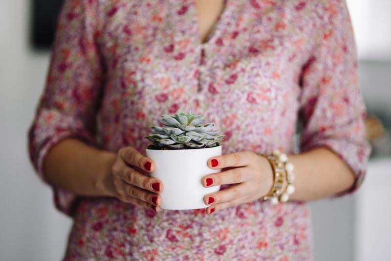 standing, caucasian Ethnicity, plant, adult, fashion, human hand, Woman, Succulent plant, items, hands, one Woman Only, camera, red nails, focus on foreground