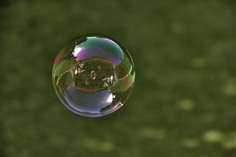 vulnerability, soap sud, plant, fragility, no people, bubbles, outdoors, weightless, transparent, shape, 5K, bubble, close-up, pomp, reflection, day, nature