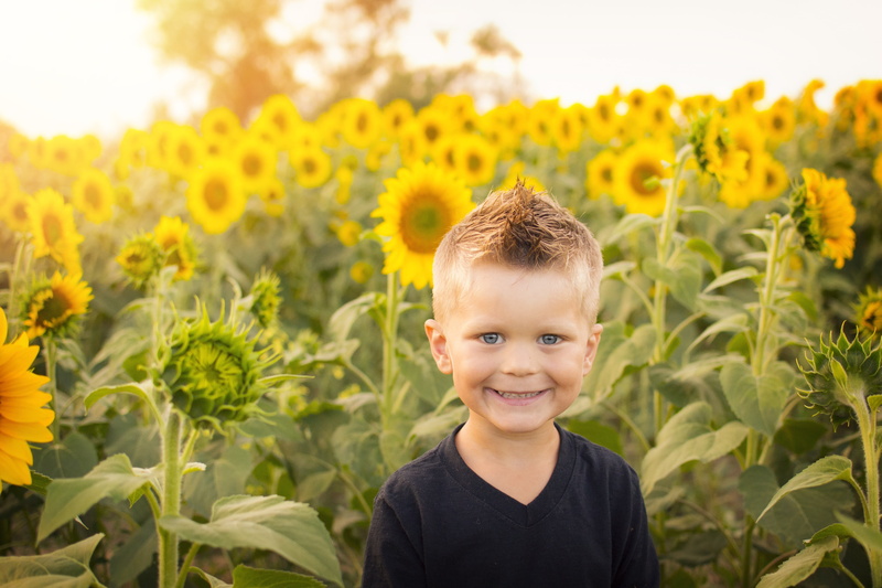 yellow, boys, agriculture, young, crop, males, happy, farm, landscape, plant, sunny, happiness, outdoors, child, looking at camera, fun, preschooler, cheerful